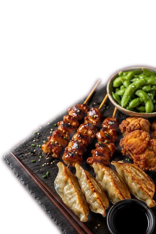 Gebratene Gyoza auf einer Schieferplatte, daneben Yakitori-Spieße und Karaage vor hellem Hintergrund